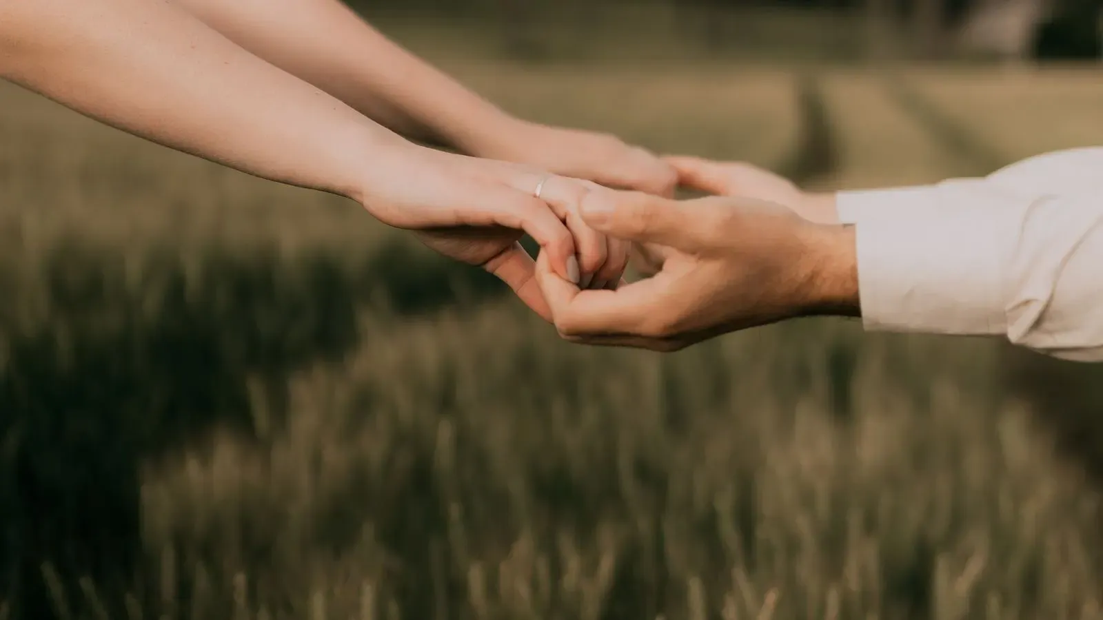 Dvije ruke koje se pružaju jedna prema drugoj iznad polja
